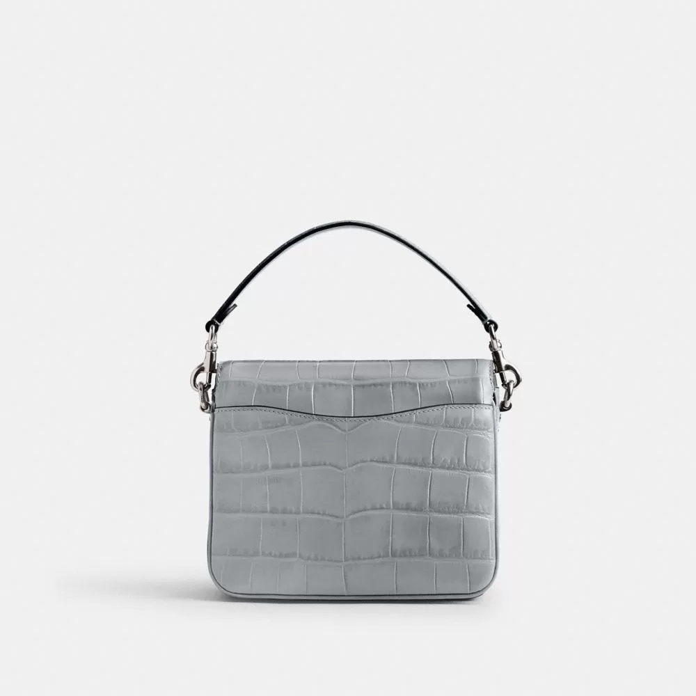 Coach Cassie Crossbody Bag 19 Shoulder Bag Women Silver Gray Blue Coach Cassie Crossbody Bag 19 Shoulder Bag Women Silver Gray Blue