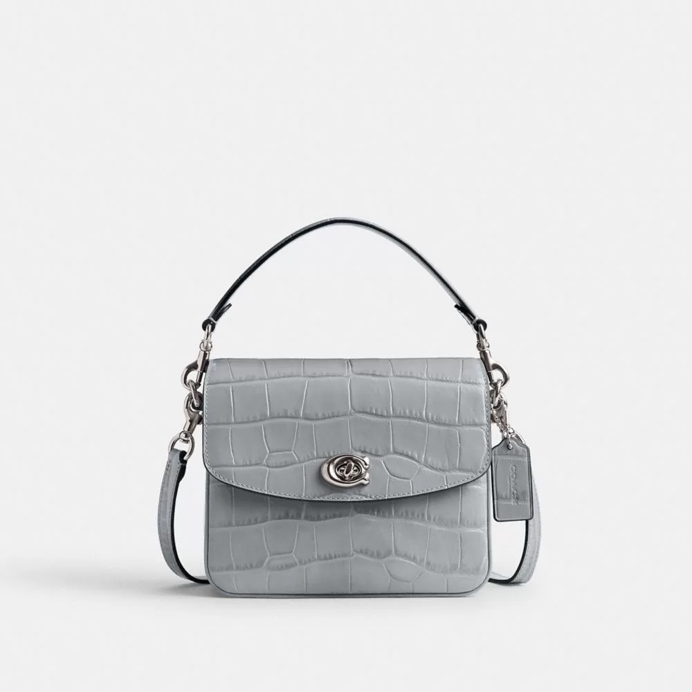 Coach Cassie Crossbody Bag 19 Shoulder Bag Women Silver Gray Blue Coach Cassie Crossbody Bag 19 Shoulder Bag Women Silver Gray Blue