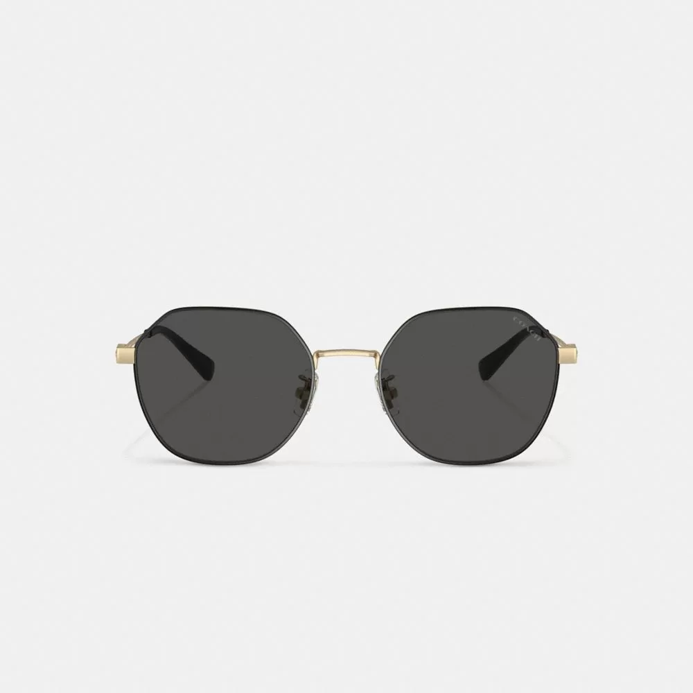 Coach Hinged Geometric Round Sunglasses Sunglasses Men Gold Black Coach Hinged Geometric Round Sunglasses Sunglasses Men Gold Black