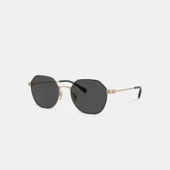 Coach Hinged Geometric Round Sunglasses Sunglasses Men Gold Black
