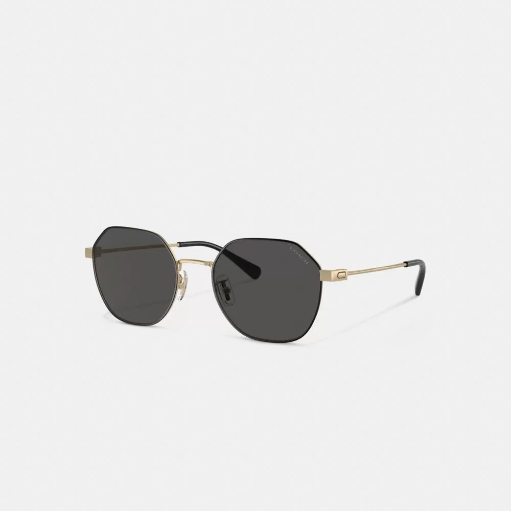 Coach Hinged Geometric Round Sunglasses Sunglasses Men Gold Black Coach Hinged Geometric Round Sunglasses Sunglasses Men Gold Black