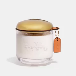 Coach Holiday Candle Travel Bag Women Multicolored