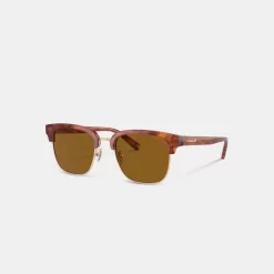 Coach Retro Sunglasses Sunglasses Men Brown